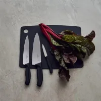 Set de cuțite Victorinox 6.7133.3G Oțel inoxidabil / Silver photo 5