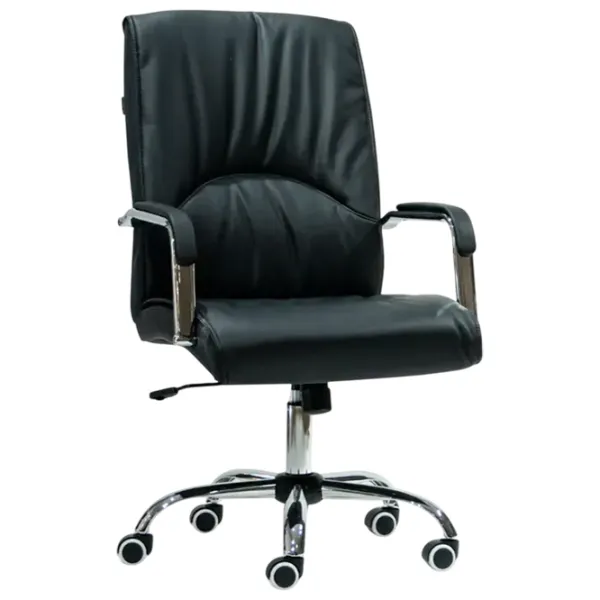 Fotoliu de birou AG RICO Y-755 ECO Piele/ Black Silver photo 1