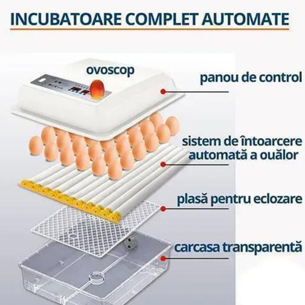 Incubator Ryaba DZE64 220 V photo 11