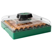 Incubator Ryaba EUPROFI72 220 V