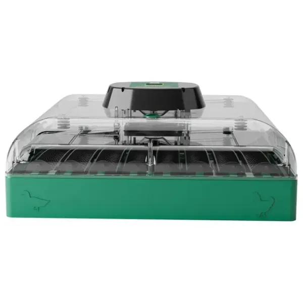 Incubator Ryaba EUPROFI72 220 V photo 7