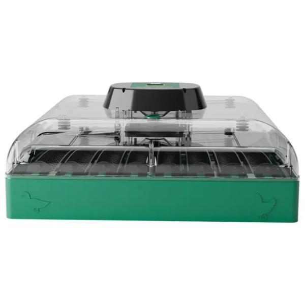 Incubator Ryaba EUPROFI72 220 V photo 7