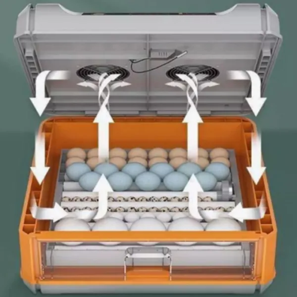 Incubator Ryaba WI-64 220 V photo 5