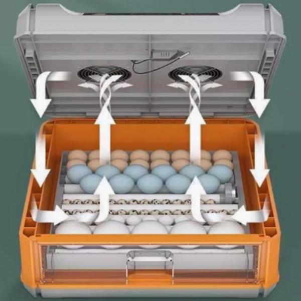 Incubator Ryaba WI-64 220 V photo 5