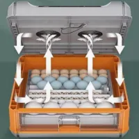 Incubator Ryaba WI-64 220 V photo 5
