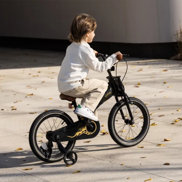Bicicletă Qplay Motor 3in1 16 14"  Metal / Black Gold photo 5
