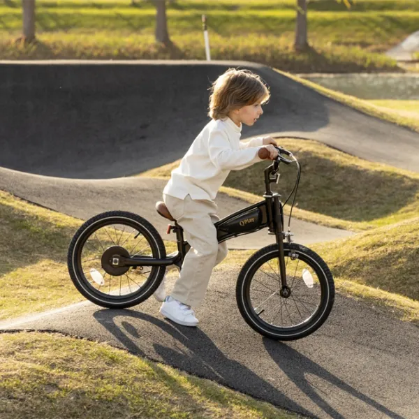 Bicicletă Qplay Motor 3in1 16 14"  Metal / Black Gold photo 7