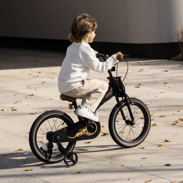 Bicicletă Qplay Motor 3in1 14 14"  Metal / Black Gold photo 5