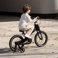 Велосипед Qplay Motor 3in1 14 14" Металл / Черный Золотой photo 5