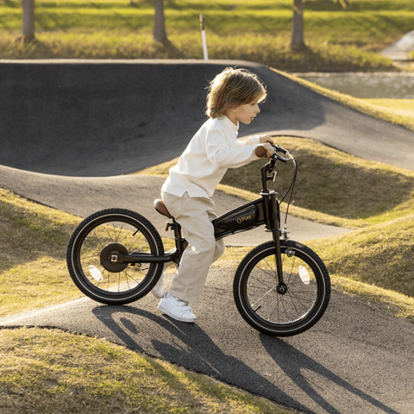 Bicicletă Qplay Motor 3in1 14 14"  Metal / Black Gold photo 7