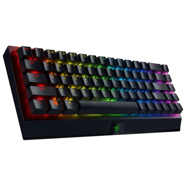 Tastatură Razer BlackWidow V3 Mini Cu fir / Black photo 5