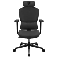 Scaun Gaming ThunderX3 YTC Loft Black Dark Grey
