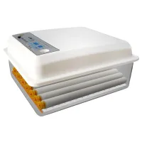 Incubator Demetra DM-36 220 V