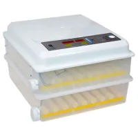 Incubator Demetra DM-120 220 V