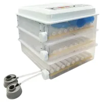 Incubator Demetra DM-176 220 V