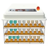 Incubator Demetra DM-176 220 V photo 5