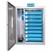 Incubator Demetra DM-512 220 V