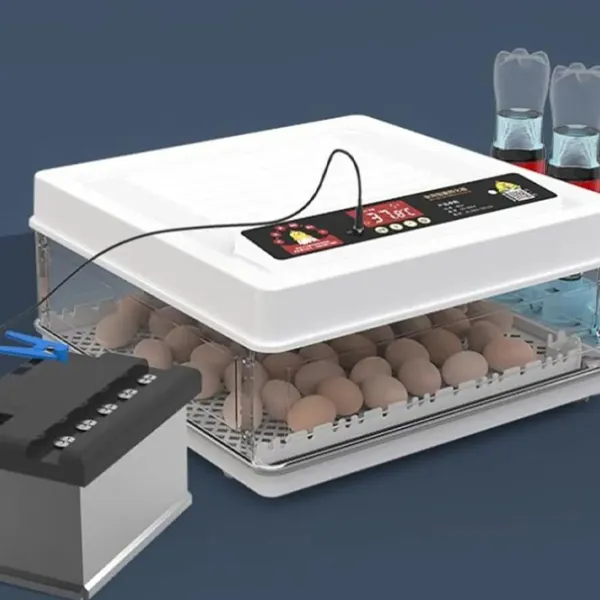 Incubator Valconi MD-130 220 V photo 3