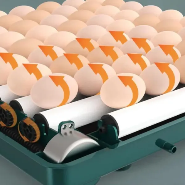 Incubator Valconi MD-130 220 V photo 4