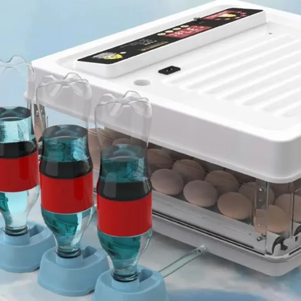 Incubator Valconi MD-130 220 V photo 5