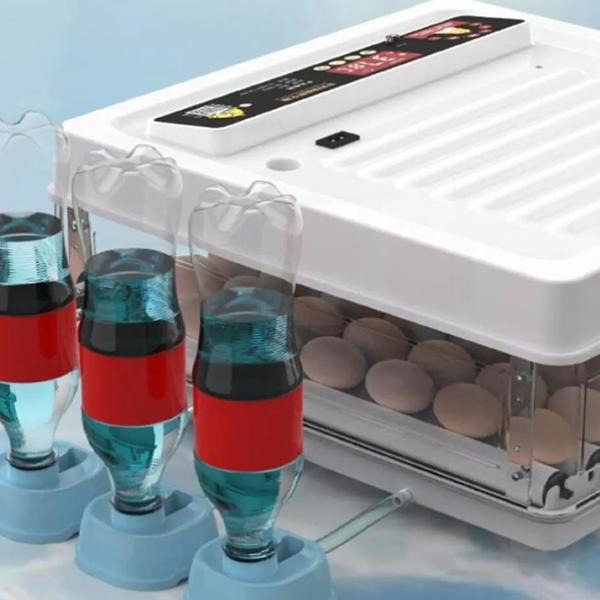 Incubator Valconi MD-130 220 V photo 5