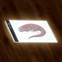Jucărie interactivă Maxlife Lightpad Board MXGT-01 3+ / White Black photo 3