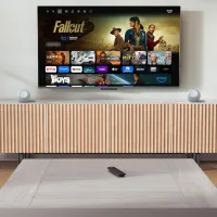 Smart Media Player Amazon Fire TV Stick 4K Plus HDMI / Черный photo 4