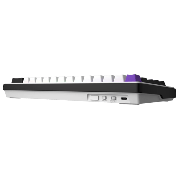 Tastatură Hator Wireless Hellyberry HK60 Fără fir / White photo 3