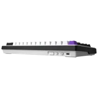 Tastatură Hator Wireless Hellyberry HK60 Fără fir / White photo 3