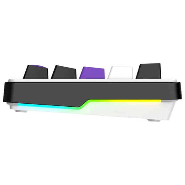 Tastatură Hator Wireless Hellyberry HK60 Fără fir / White photo 4