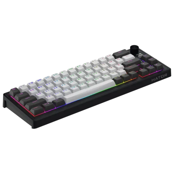 Tastatură Hator Wireless Skyfall 65 Pro Fără fir / Gray photo 4