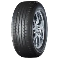 Шины Haida RUNSPIRIT 205/55 R16 91V Лето / Легковой