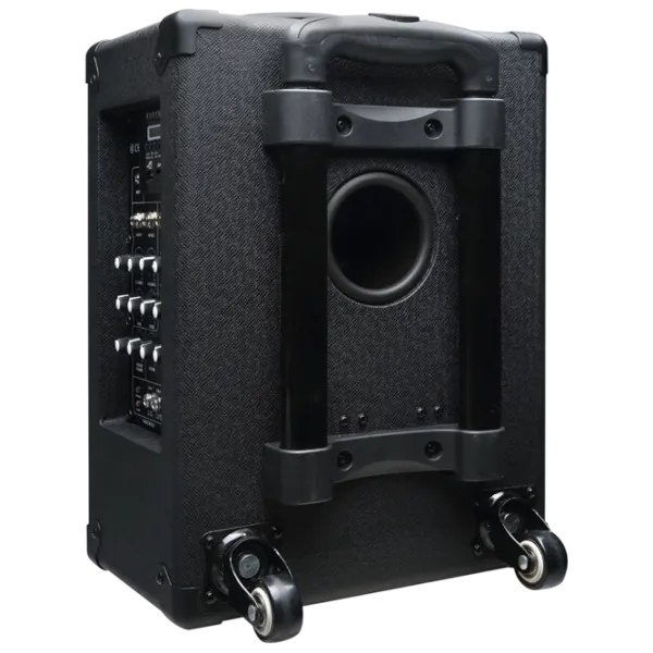 Boxă activă Kurzweil KST300A Cu fir / 24 W / /  photo 7