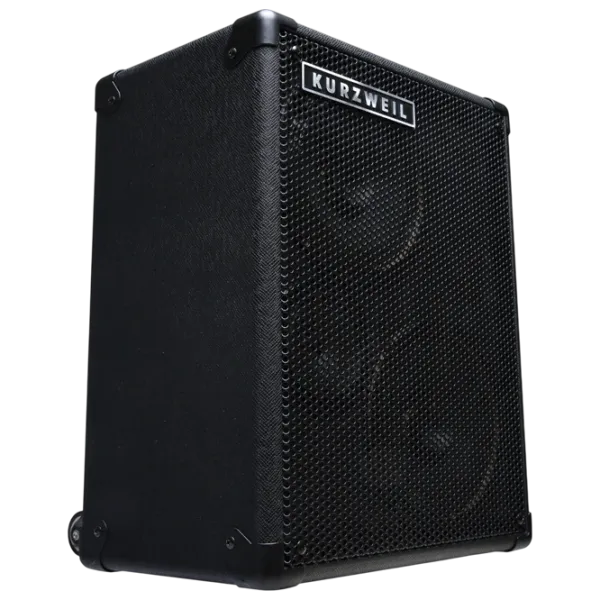 Boxă activă Kurzweil KST300A Cu fir / 24 W / /  photo 9