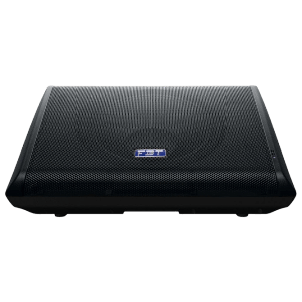 Студийный монитор FBT StageMaxX 12MA  / 500 Вт photo 3