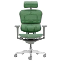 Fotoliu de birou ART Ergohuman Ultra Pânză/ Green Silver