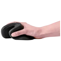 Mouse Gembird MUSW-ERGO-03 Black photo 8