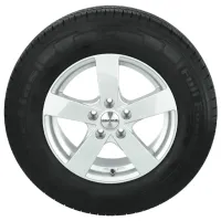 Шины Petlas Full Power PT835 215/65 R16C 109/107T 8PR Лето / Легкогрузовой photo 3