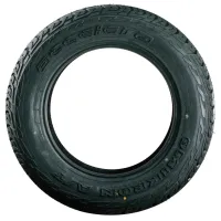 Шины Accelera Omikron AT 265/50 R20 111S Лето / Легковой photo 2