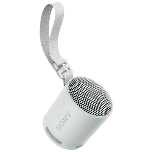 Портативная колонка Sony SRS-XB100 / Светло Серый photo 1