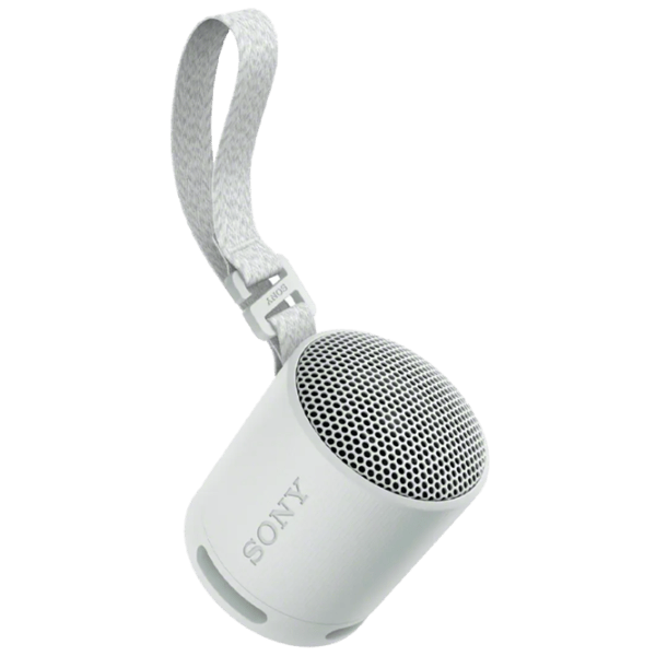 Портативная колонка Sony SRS-XB100 / Светло Серый photo 1