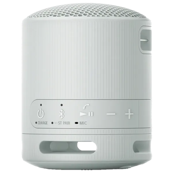 Портативная колонка Sony SRS-XB100 / Светло Серый photo 4