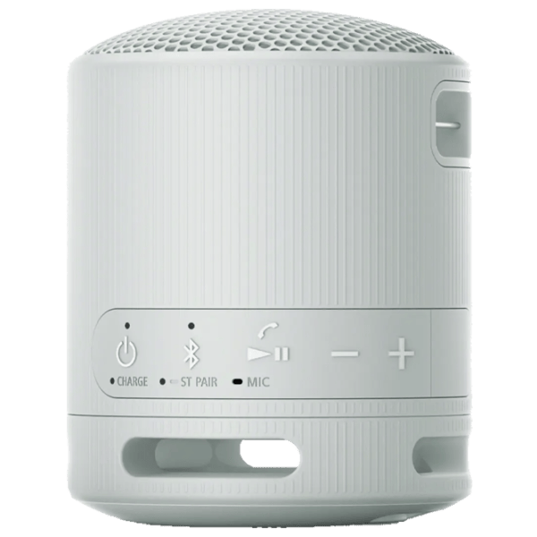 Портативная колонка Sony SRS-XB100 / Светло Серый photo 4