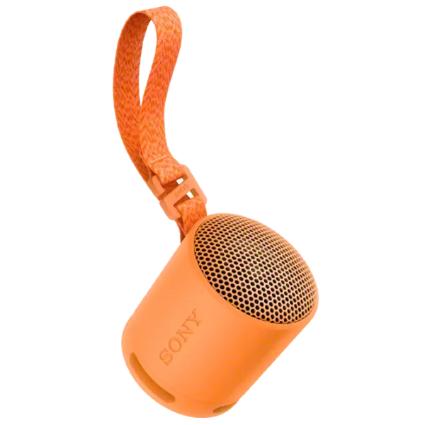 Портативная колонка Sony SRS-XB100 / Оранжевый photo 1