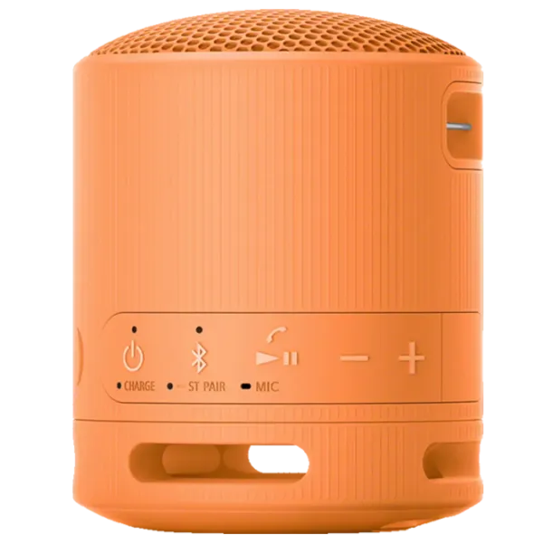 Портативная колонка Sony SRS-XB100 / Оранжевый photo 4
