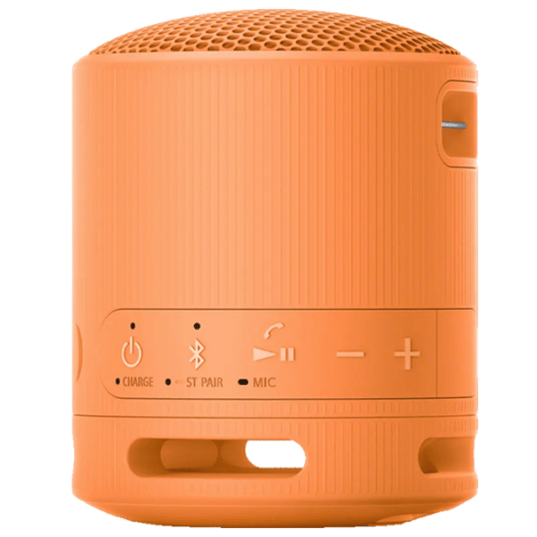 Портативная колонка Sony SRS-XB100 / Оранжевый photo 4