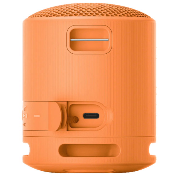 Портативная колонка Sony SRS-XB100 / Оранжевый photo 5