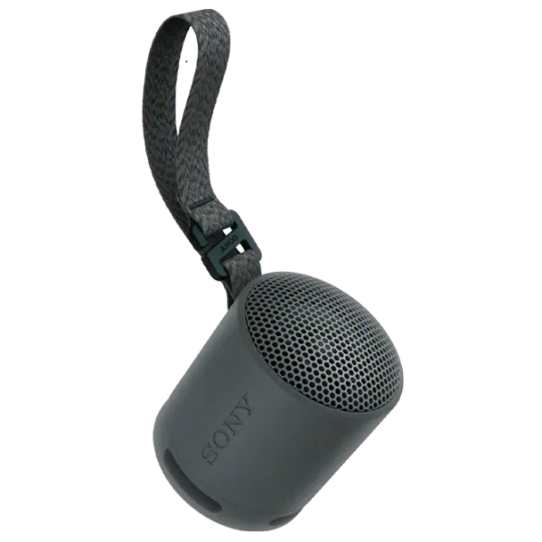 Портативная колонка Sony SRS-XB100 / Черный photo 1