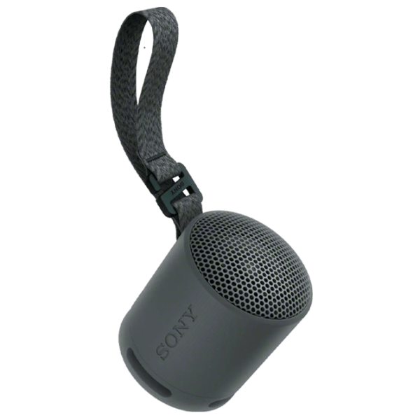 Портативная колонка Sony SRS-XB100 / Черный photo 1