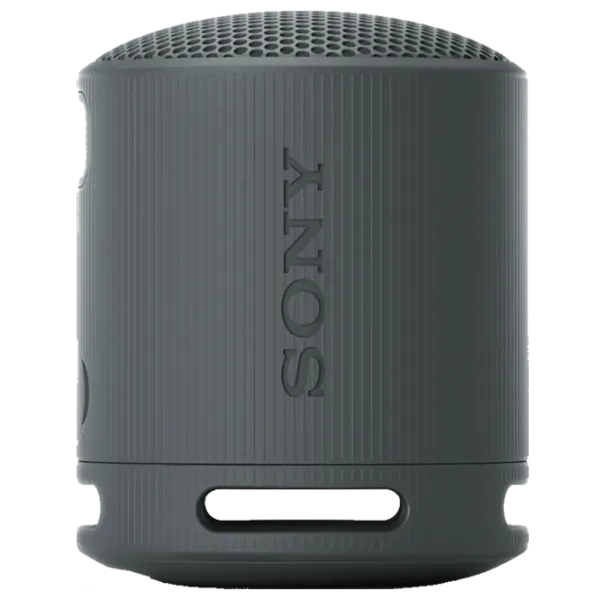 Портативная колонка Sony SRS-XB100 / Черный photo 2